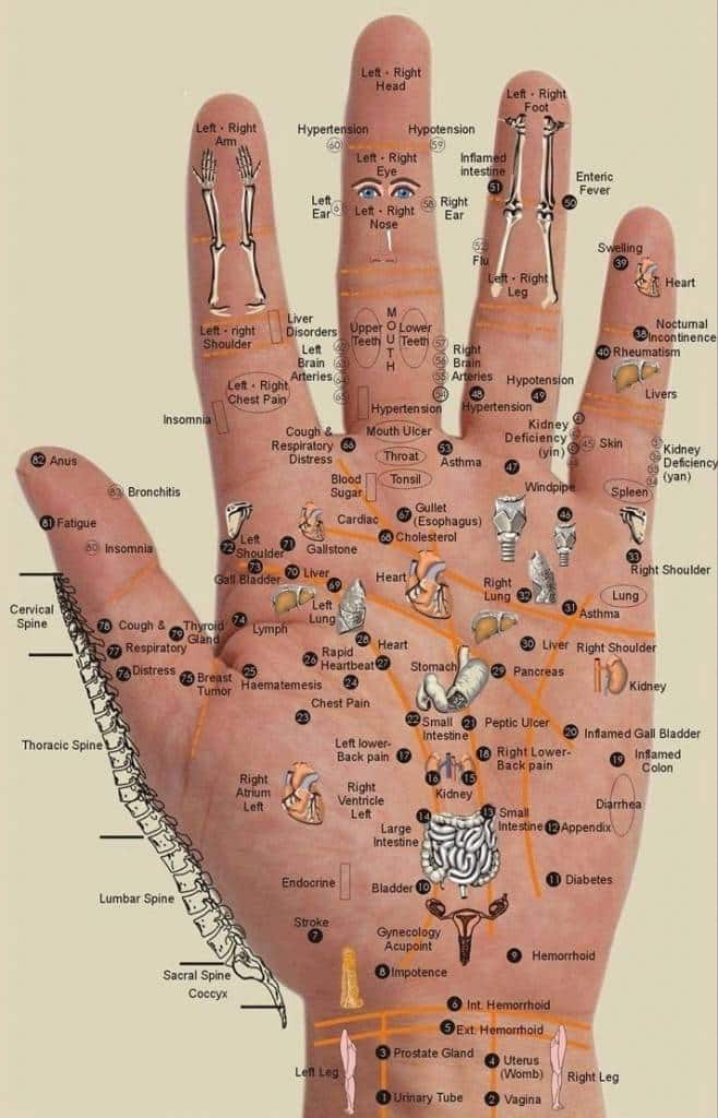 réflexologie des mains, toucher métamorphique